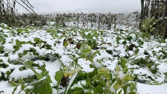 Miền Bắc sắp có sương muối, có thể mưa lớn diện rộng ở miền Trung