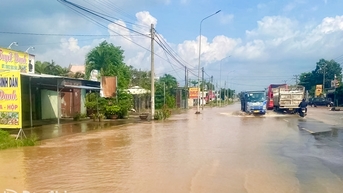 Điện lực Đồng Nai bảo đảm an toàn điện tại các địa phương bị ngập