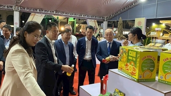 150 doanh nghiệp, hợp tác xã tham gia Hội chợ Đặc sản vùng miền Việt Nam 2025