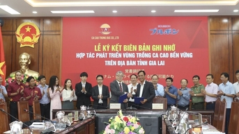 ក្រុម​ជប៉ុន​រួម​កម្លាំង​ដើម្បី​ពង្រីក​តំបន់​វត្ថុធាតុដើម​កាកាវ​នៅ Gia Lai