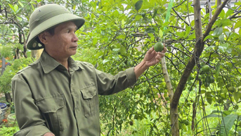ការលើកកម្ពស់ឆន្ទៈ និងការប្តេជ្ញាចិត្តរបស់ទាហានរបស់ពូ