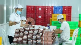 Sản xuất công nghiệp tăng trưởng tích cực