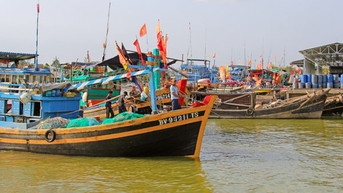 Đồng bộ giải pháp, quyết tâm gỡ “thẻ vàng” IUU