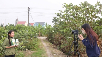 Nhiều hoạt động hưởng ứng Tuần lễ 'Thương mại điện tử quốc gia và Ngày mua sắm trực tuyến'