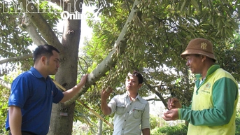 Xã Đông Khánh Sơn: Nhiều “hạt nhân” thúc đẩy giảm nghèo