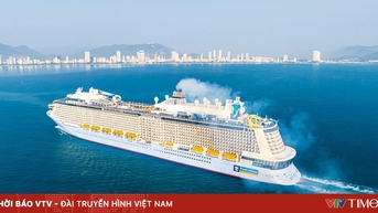 Khánh Hòa phục hồi mạnh mẽ du lịch tàu biển quốc tế