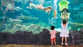 Times City: Khám phá thế giới đại dương ngay tại Hà Nội