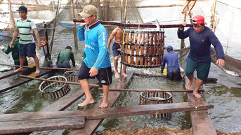 ទិន្នផល​វារីវប្បកម្ម និង​ជលផល​សរុប​សម្រេច​បាន ៦៣៣ ០១៨ តោន