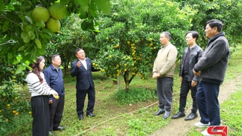 Nâng cao năng lực số cho HTX