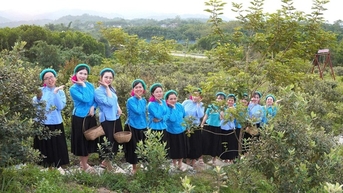 ស្វែងយល់ពីក្រុមហ៊ុន Soong ដែលជាកំពូលបង្វិលប្រពៃណីនៅពិធីបុណ្យវប្បធម៌ Hai Son