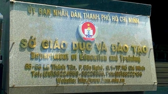 សាលាមួយចំនួននៅទីក្រុងហូជីមិញអំពាវនាវឱ្យផ្លាស់ប្តូរផ្កាថ្ងៃទី ២០ ខែវិច្ឆិកា ទៅជាអាហារូបករណ៍ និងអំណោយដល់សិស្ស