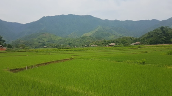 Phát triển du lịch xanh, du lịch cộng đồng: Hướng đi bền vững cho vùng cao, biên giới