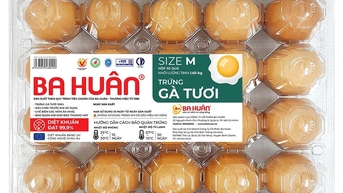 Bà Ba Huân: Các khoản nợ thuế của công ty không liên quan tới tôi và gia đình