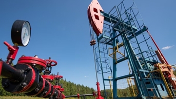 Giá xăng dầu hôm nay (13-11): Đảo chiều giảm mạnh