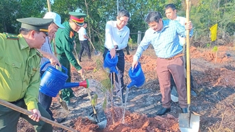 Ra quân trồng cây vì một Đà Nẵng xanh