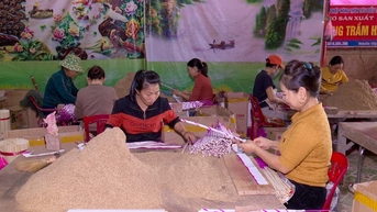 ថែរក្សា​អាជីព​ធ្វើ​គ្រឿង​ក្រអូប​នៅ​តំបន់​ភាគ​ខាងលិច​ខេត្ត Nghe An