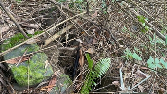 ផ្លូវហាយវេ DH8 ឆ្លងកាត់ឃុំត្រាដុក មានស្នាមប្រេះធំនៅលើភ្នំ។