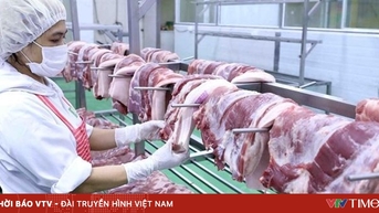 Dự báo nhu cầu thực phẩm cuối năm và Tết tăng tới 15%