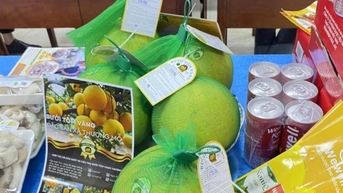 អនុវត្តកម្មវិធី OCOP នៅទីក្រុងហាណូយ៖ ឃុំ Dan Phuong បង្កើតសន្ទុះថ្មីសម្រាប់សេដ្ឋកិច្ចជនបទ