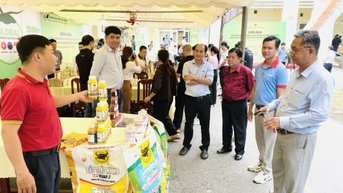 ការអភិវឌ្ឍន៍ដើមដូងនៅតំបន់ដីសណ្តទន្លេមេគង្គក្នុងទិសដៅអេកូឡូស៊ី រាងជារង្វង់ និងការបញ្ចេញឧស្ម័នទាប