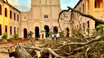 Các cơ sở du lịch Gia Lai khắc phục sau bão Kalmaegi, giảm quy mô hoặc tạm dừng các lễ hội