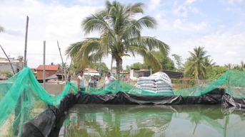 ចំណេះដឹងដើម្បីកាត់បន្ថយភាពក្រីក្រ៖ [Part 1] ប្រជាជនរស់នៅតាមបឹង Dau Tieng ផ្លាស់ប្តូរជីវិតរបស់ពួកគេ។