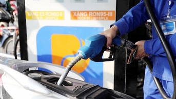 Giá xăng dầu trong nước ngày 13/11/2025 điều chỉnh tăng