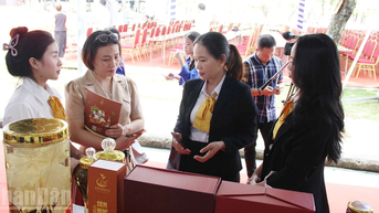 Kết nối bốn nhà khai thác, phát triển và thương mại sản phẩm dược liệu