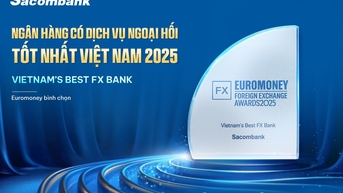 Sacombank ត្រូវ​បាន​ Euromoney លើក​តម្កើង​ជា​បន្តបន្ទាប់​ថា​ជា “ធនាគារ​ដែល​មាន​សេវា​ប្តូរ​ប្រាក់​បរទេស​ល្អ​បំផុត​ក្នុង​ប្រទេស​វៀតណាម”។