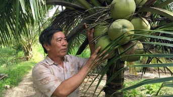 'គន្លឹះ' ក្នុងការបង្កើនតម្លៃនៃឧស្សាហកម្មដូងនៅក្នុងតំបន់ដីសណ្តទន្លេមេគង្គ