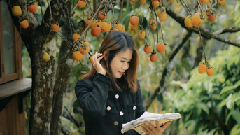 Da Lat Rose Garden ដែល​អ្នក​រាល់​គ្នា​ចូល​ទៅ​កាន់​តែ​ស្រស់​ស្អាត