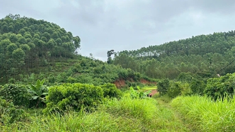 Bac Ninh៖ ចេញ​អាជ្ញាប័ណ្ណ​ធ្វើ​អាជីវកម្ម​រ៉ែ​ថ្មី​ចំនួន ៤ ធានា​ការ​ផ្គត់ផ្គង់​សម្ភារ​សំណង់