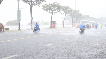 ភ្លៀងធ្លាក់ខ្លាំងលើតំបន់ធំទូលាយក្នុងទីក្រុង Da Nang ចាប់តាំងពីពាក់កណ្តាលខែវិច្ឆិកា