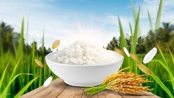 ST25៖ ពី​អង្ករ​ល្អ​បំផុត​របស់​ពិភពលោក​ដល់​សេចក្តី​ប្រាថ្នា​ដើម្បី​លើក​កម្ពស់​វិស័យ​កសិកម្ម​វៀតណាម