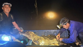 Đánh cá trên sông, người dân bắt được cá sấu gần 40kg