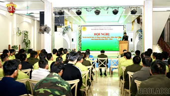 Văn Bàn: Tuyên truyền công tác bảo vệ rừng và chính sách bảo hiểm cho lực lượng bảo vệ rừng