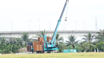 នៅមានទីតាំងគ្រឹះចំនួន 7 សម្រាប់គម្រោងខ្សែបញ្ជូន 500kV Hai Phong - Thai Binh ដែលមិនទាន់ត្រូវបានប្រគល់ជូននៅឡើយ។