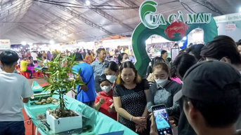 ពិធីបុណ្យ “សួស្តី Ca Mau” នៅទីក្រុងហូជីមិញ