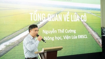 'លុប​ចោល' ការ​ព្រួយ​បារម្ភ​ពី​ស្រូវ​ស្មៅ​ជាមួយ Sofit®300EC