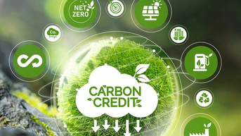 Sử dụng thị trường carbon là xu thế tất yếu để Việt Nam chuyển dịch sang kinh tế xanh