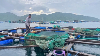 Tăng cường quản lý, chấn chỉnh hoạt động nuôi trồng thủy sản trên địa bàn tỉnh