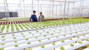 Ngành nông nghiệp rộng mở cơ hội phát triển