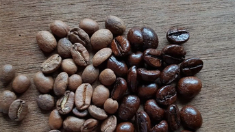 Giá cà phê hôm nay 14/11/2025: Giảm cực mạnh sau cam kết Tổng thống Mỹ