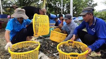 Nghề tay trái lúc nông nhàn