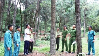 ហាណូយប្រមូលធនធានដើម្បីការពារព្រៃឈើ