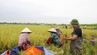 ប្រកួតប្រជែងដើម្បីកសាងកសិកម្មអេកូឡូស៊ី និងនិរន្តរភាព