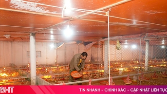 Trường Lưu triển khai hiệu quả 175 mô hình kinh tế