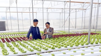 Ngành nông nghiệp Lâm Đồng rộng mở cơ hội phát triển