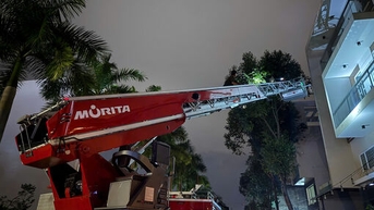 Tây Ninh: Kịp thời xử lý an toàn tổ ong vò vẽ lớn trong khu dân cư