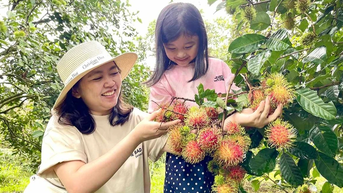 Khi sản xuất nông nghiệp trở thành trải nghiệm du lịch